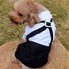 blogs/seabatt/attachments/10326-643-days-later-s-l1600.jpg