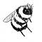 Bumblebeee